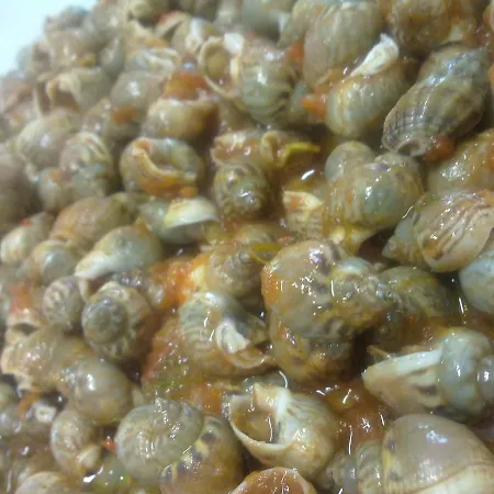 Haarlem Hotel Rimini