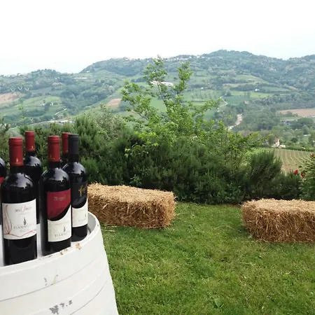 Haarlem רימיני