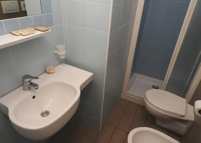 Haarlem רימיני