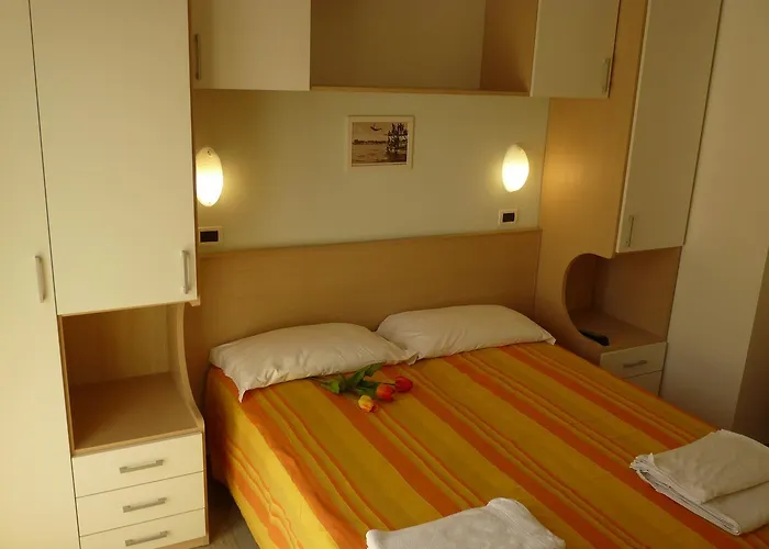 Haarlem 2* רימיני