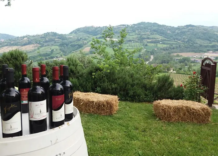 Haarlem רימיני